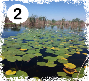 Treaseu Delta Dunarii 2a